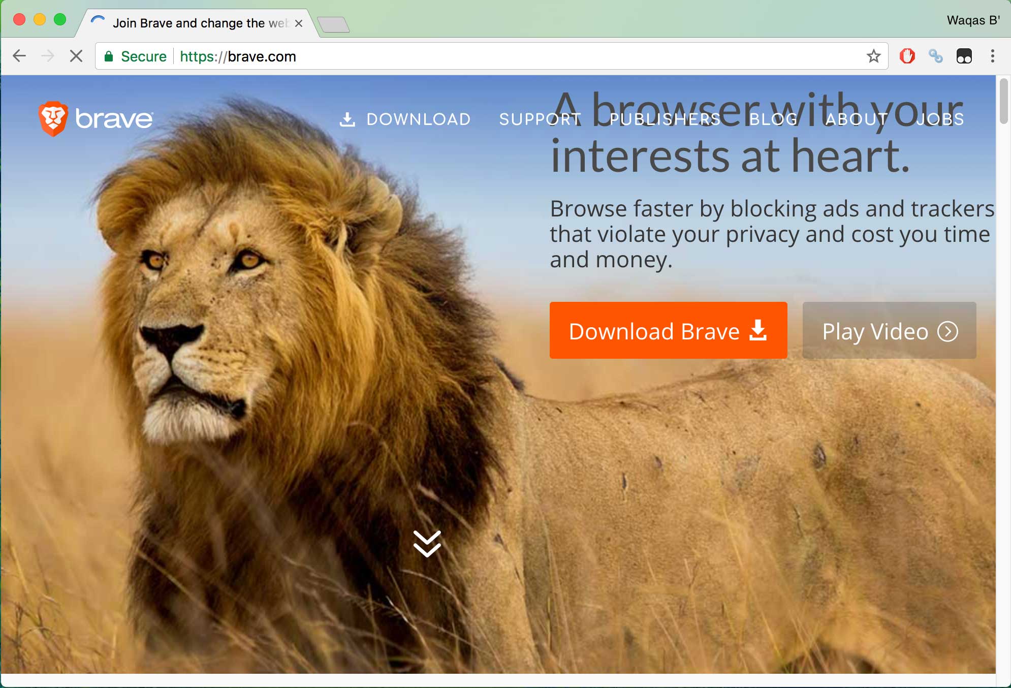 brave browser secure